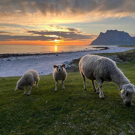 Fisherman'S Cabin, Lofoten - 24 Bardbua バルスタ エクステリア 写真
