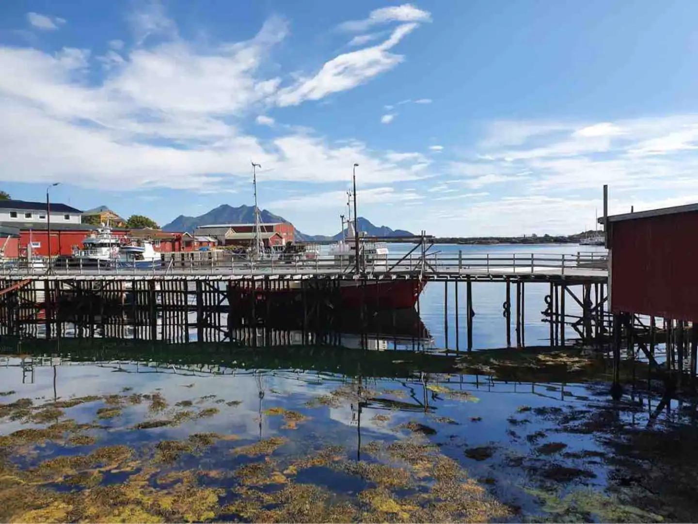 Fisherman'S Cabin, Lofoten - 24 Bardbua バルスタ エクステリア 写真